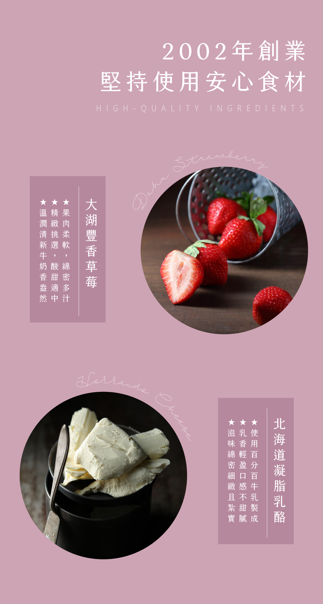 水母吃乳酪草莓乳酪塔