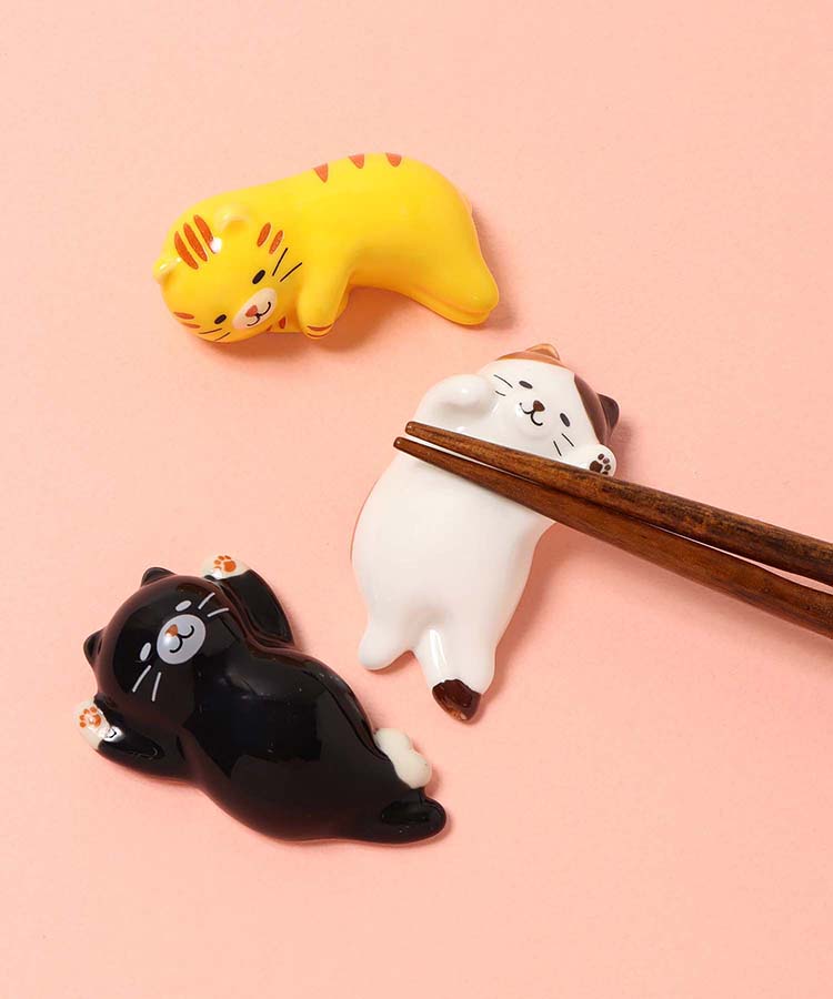 貓咪 橘貓 賓士貓