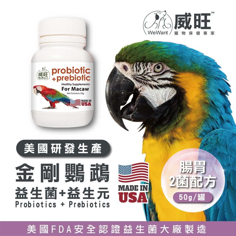 金剛鸚鵡益生菌+益生元 - 腸胃2菌配方 50g/罐( 金剛鸚鵡腸道基礎保養 )