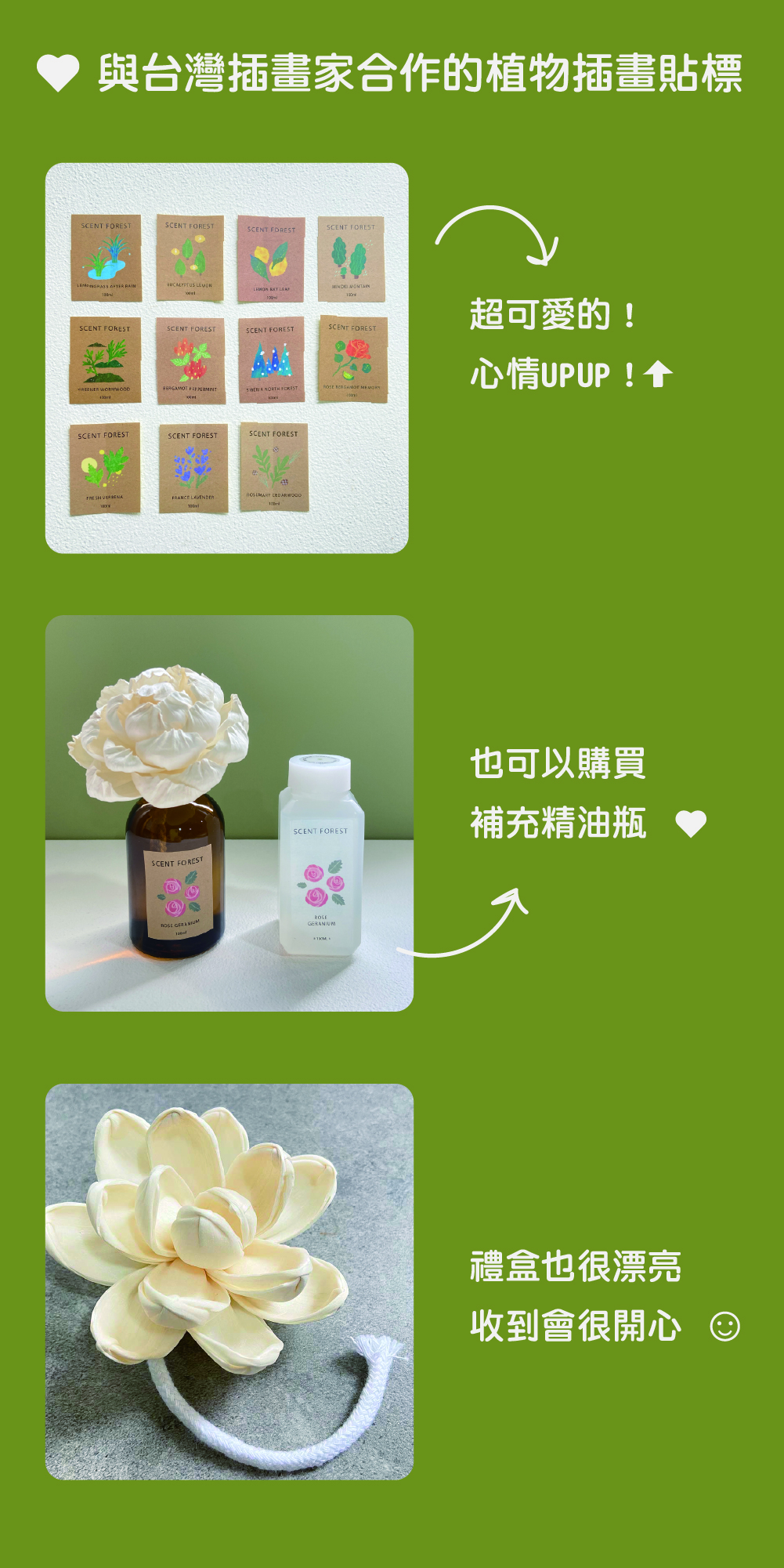 SCENT FOREST 香氛森林 - 精油 擴香花 香氛花 索拉花 枕邊噴霧