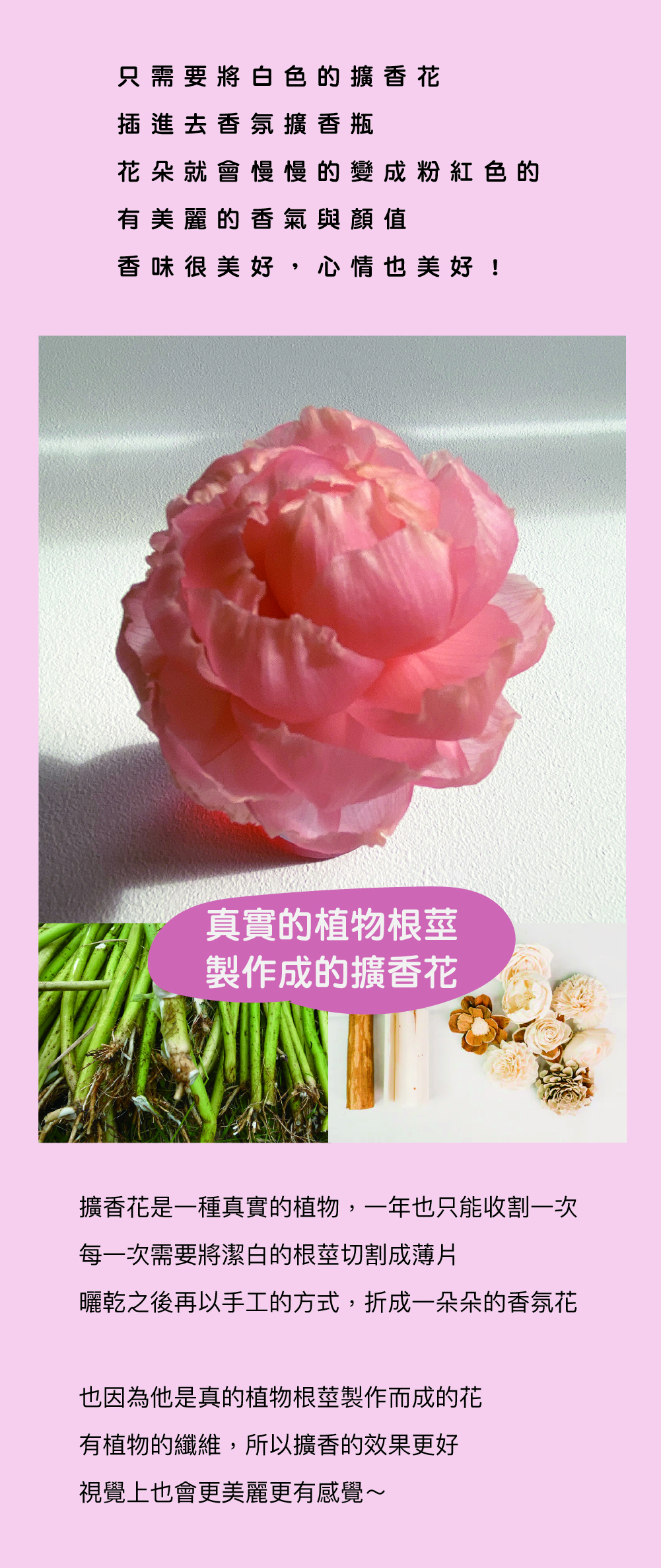 SCENT FOREST 香氛森林 - 擴香花 精油 香氛花 我喜歡你 粉紅色