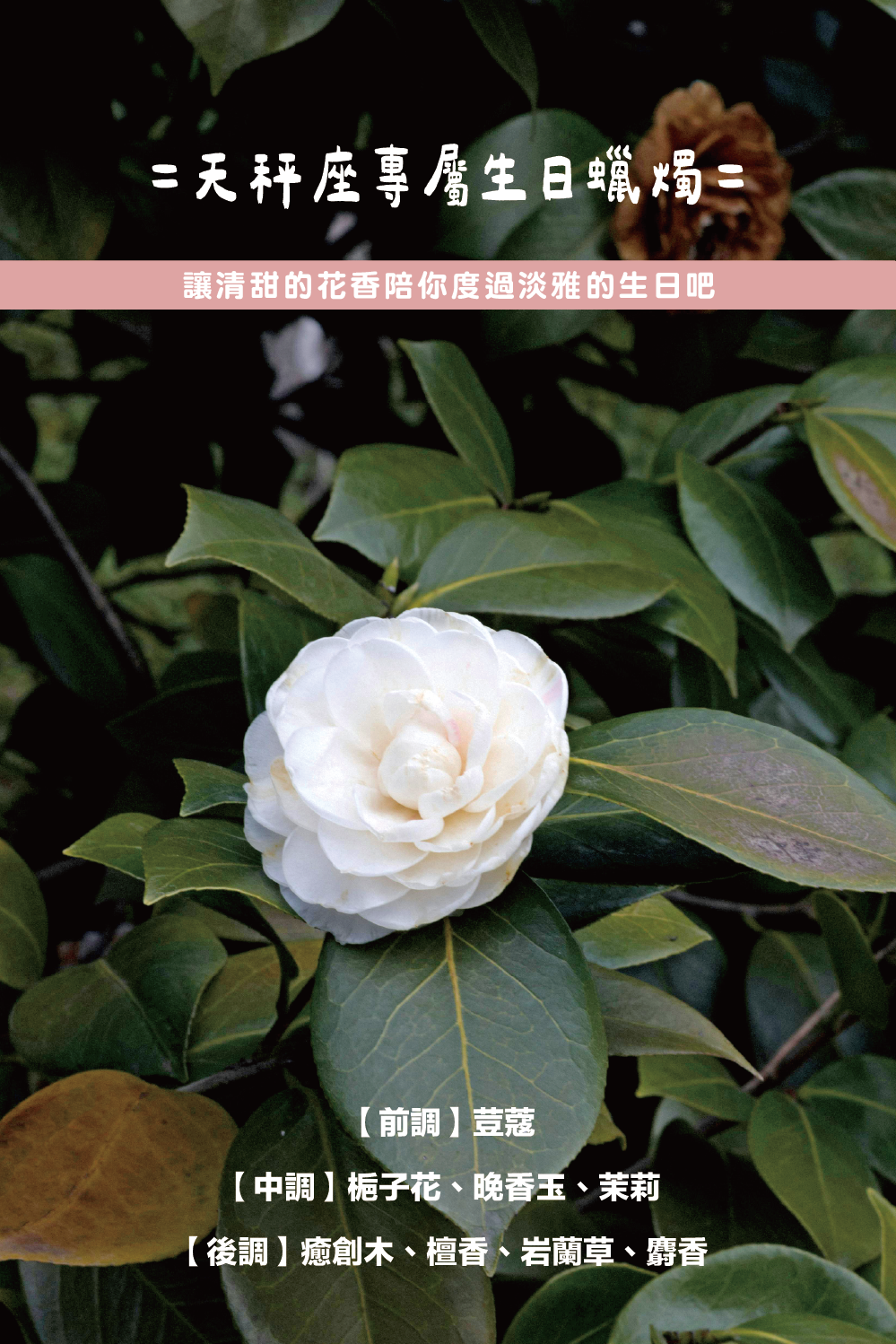 SCENT FOREST 香氛森林-十二星座 天秤座 生日禮盒 LINE禮物 大豆蠟燭 二入 組合