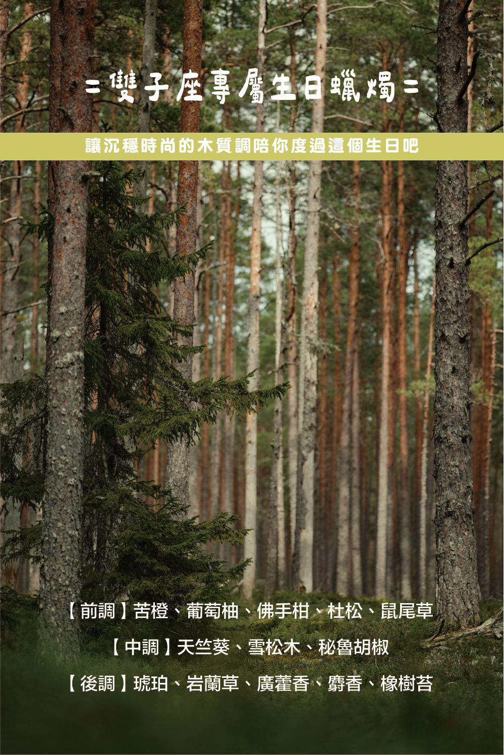 SCENT FOREST 香氛森林-十二星座 雙子座 生日禮盒 LINE禮物 大豆蠟燭 二入 組合