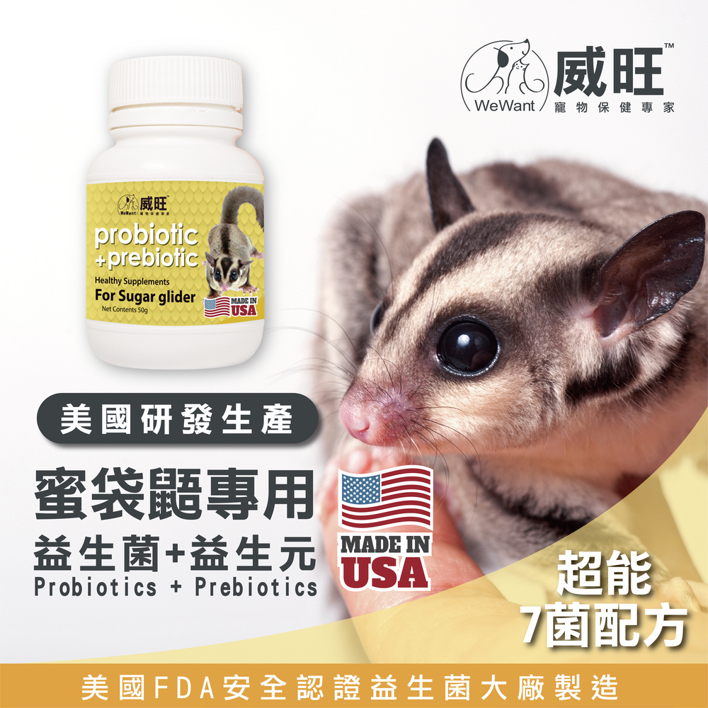 幫助蜜袋鼯腸胃健康，專業配方的益生菌，米袋鼯日常保健