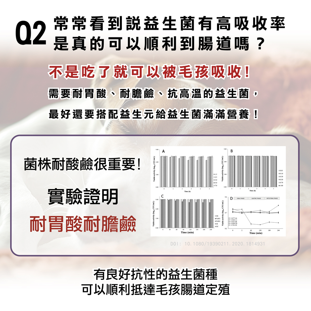 狗狗基礎保養專用，精選雙菌株，日常保養不失手