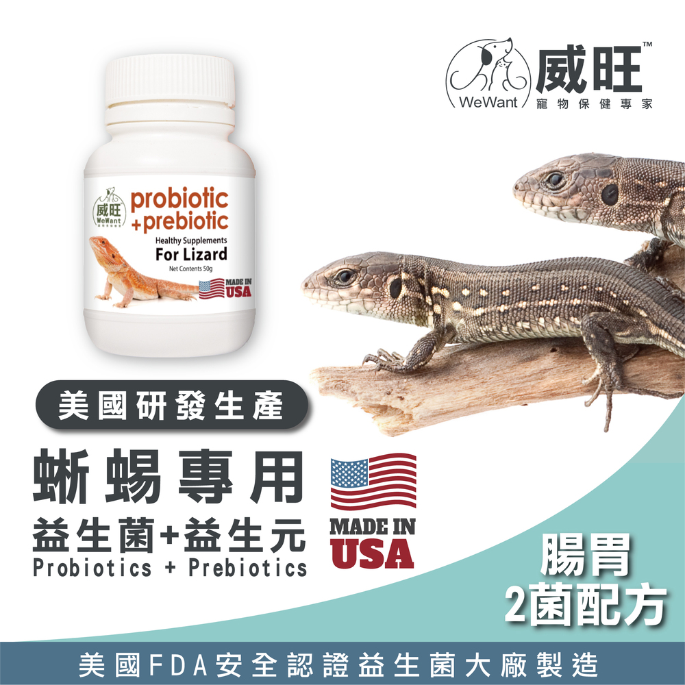 蜥蜴專用益生菌+益生元 - 腸胃2菌配方 50g/罐( 蜥蜴專用腸道基礎保養 )