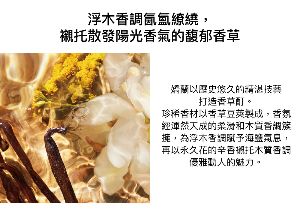 香草香氣,木質香,香草酊,香草,海鹽氣息,浮木香調