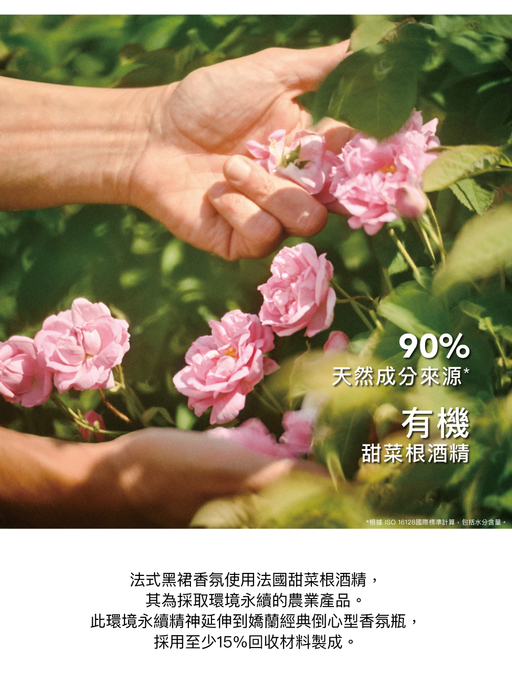 法式黑裙香氛,天然成分,甜菜根酒精,環境友善,永續農業,回收玻璃