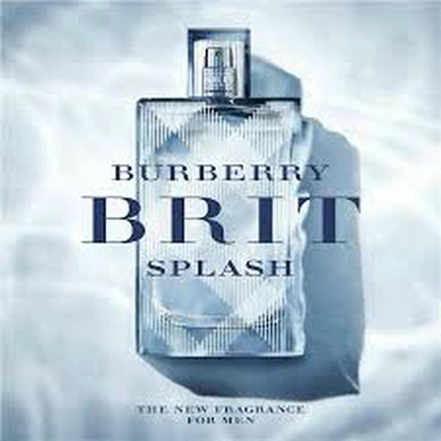 BURBERRY BRIT メンズ香水 100ml BURBERRY バーバリー ブリット フォーヒム EDT 100ml メンズ : s
