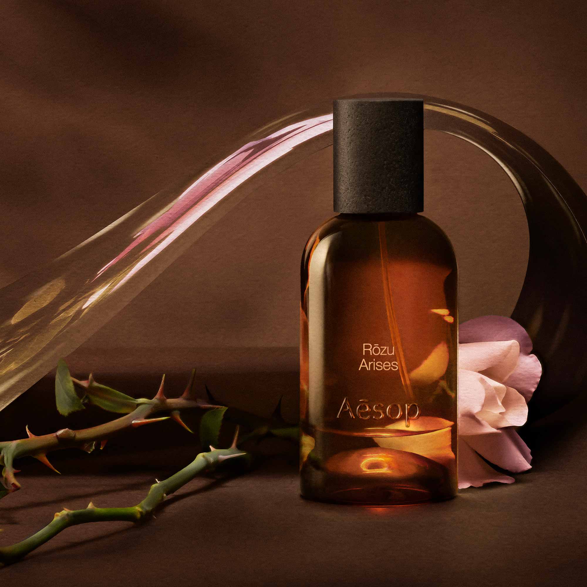 Aesop】荊棘協調香調| 馥綻香水(50mL) | LINE 禮物