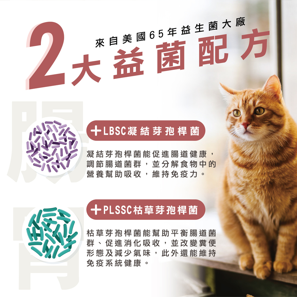 提供貓咪最適當的營養補充，精選美國雙菌株，日常保養不手殘