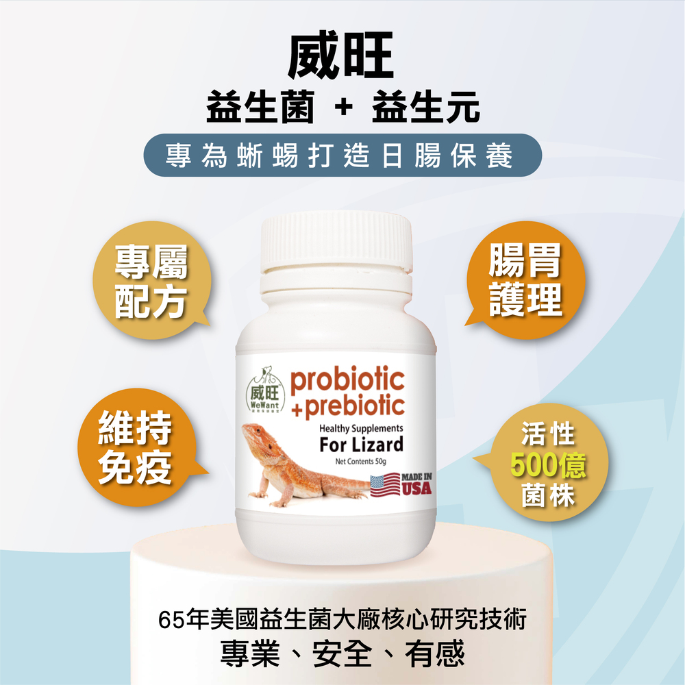 蜥蜴專用益生菌+益生元 - 腸胃2菌配方 50g/罐( 蜥蜴專用腸道基礎保養 )